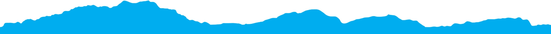 Top Border